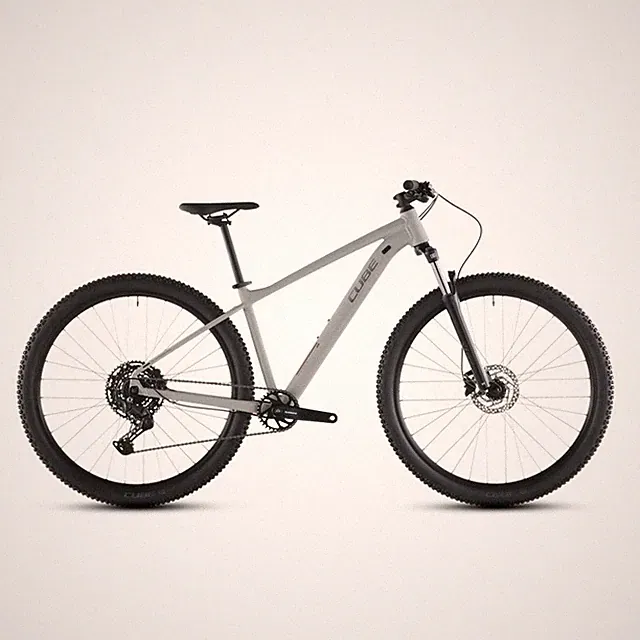 aim pro 29 10v 100mm greigentitan 2026 cube mountain bike